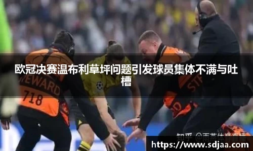 谈球吧