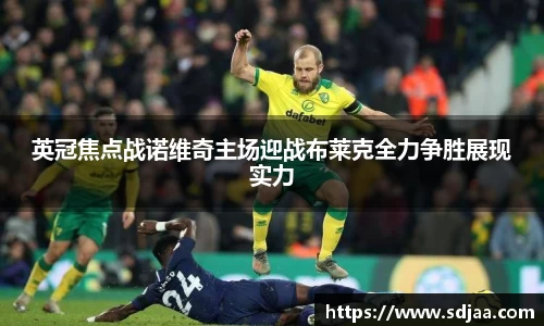 谈球吧